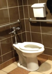 COMMERCIAL BATHROOM CLOGS