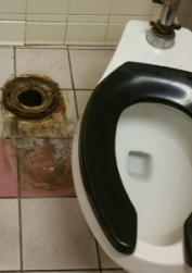 UNCLOGGING TOILETS